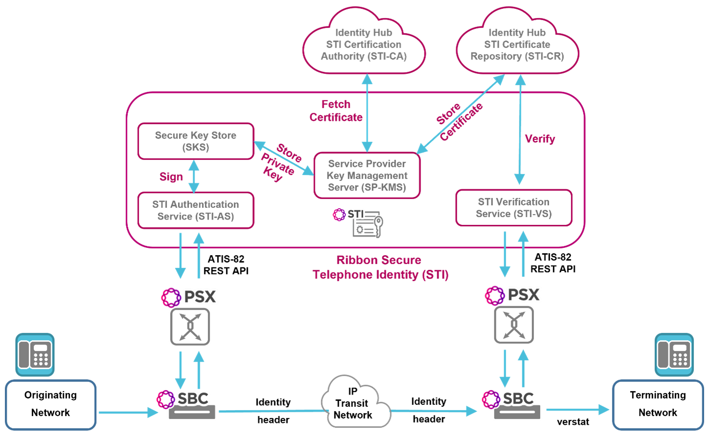 STI Diagram