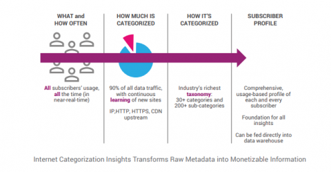 Internet Categorization - Ribbon Analytics